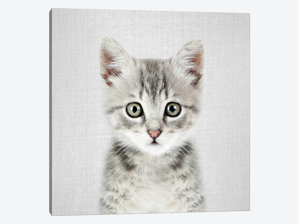 Kitten by Gal Design 1-piece Canvas Wall Art