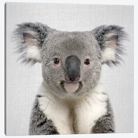 Koala Canvas Print #GAD36} by Gal Design Canvas Art