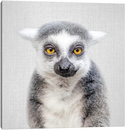 Lemur Canvas Art Print - Primate Art