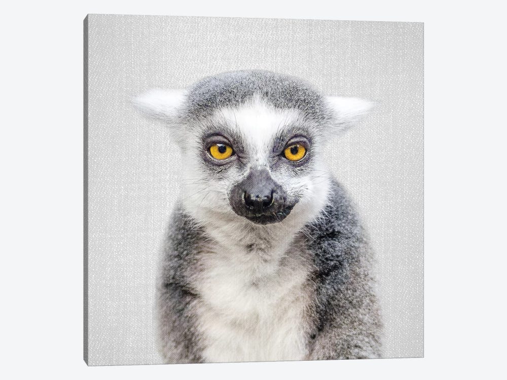 Lemur by Gal Design 1-piece Canvas Art