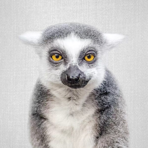 Lemur
