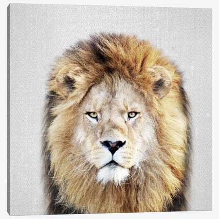 Lion Canvas Print #GAD39} by Gal Design Canvas Art Print