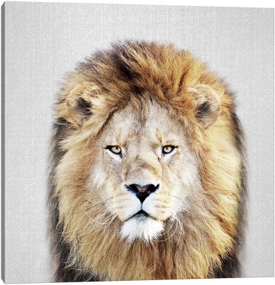 Lion Canvas Art Print - Gal Design