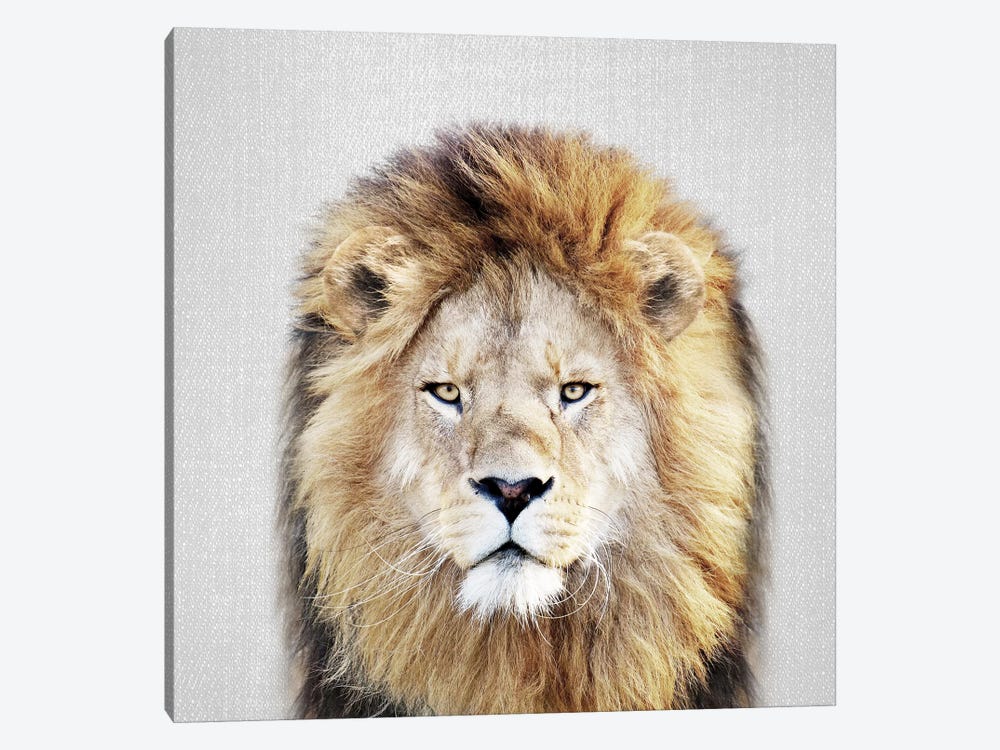 Lion by Gal Design 1-piece Canvas Wall Art