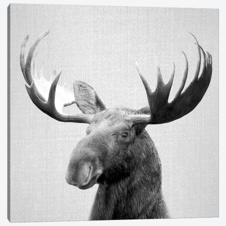 Moose In Black & White Canvas Print #GAD41} by Gal Design Canvas Wall Art