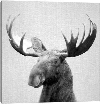 Moose In Black & White Canvas Art Print - Gal Design