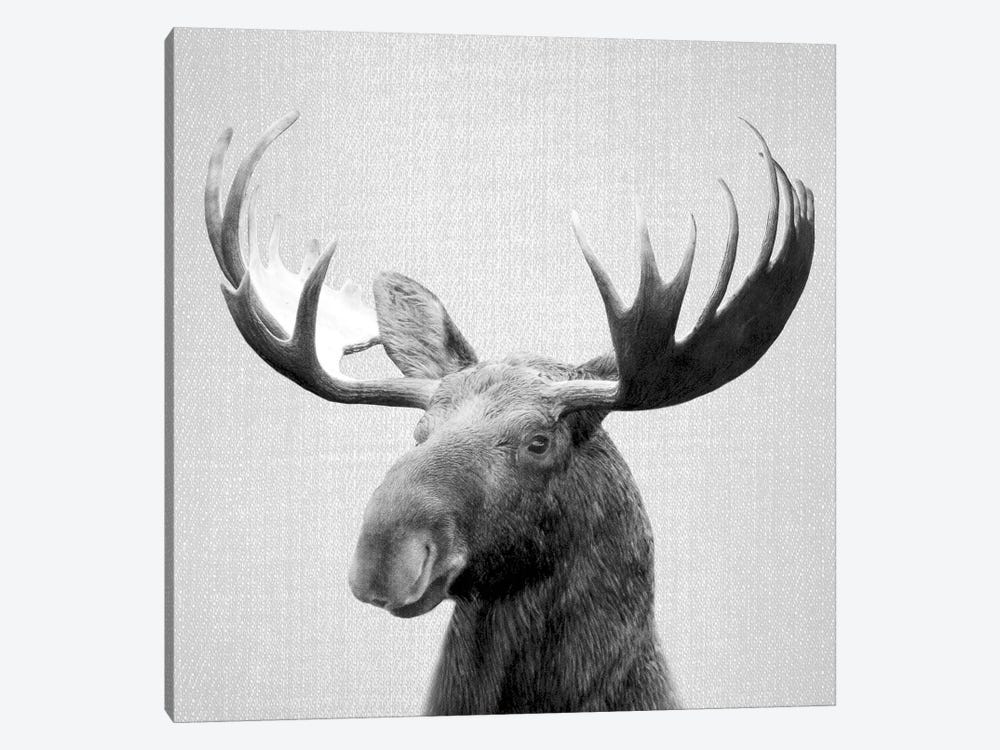 Moose In Black & White by Gal Design 1-piece Art Print