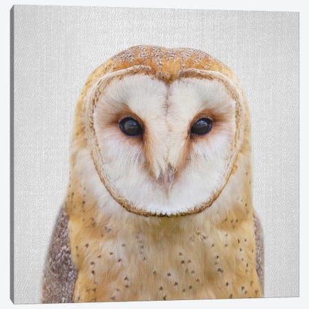 Owl Canvas Print #GAD45} by Gal Design Art Print