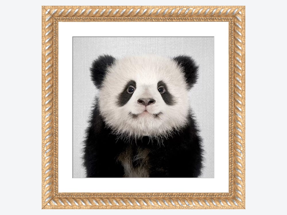 11x14x¾ frame for canvas - Panda Productions - Paintings & Prints