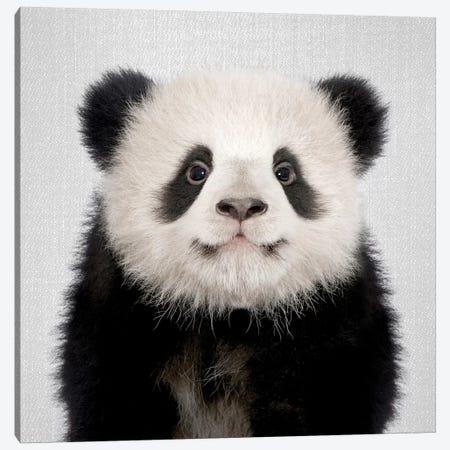Panda Bear Canvas Print #GAD46} by Gal Design Canvas Art Print