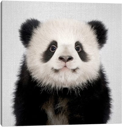 Panda Bear Canvas Art Print