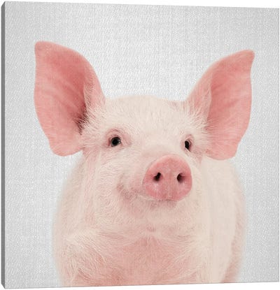 Pig Canvas Art Print - Gal Design