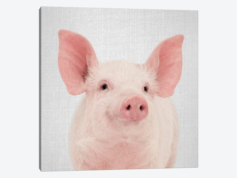 Pig by Gal Design 1-piece Art Print