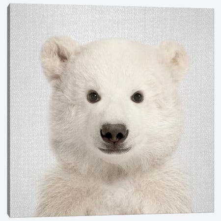 Polar Bear Canvas Print #GAD49} by Gal Design Canvas Artwork