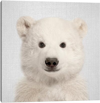 Polar Bear Canvas Art Print - Gal Design