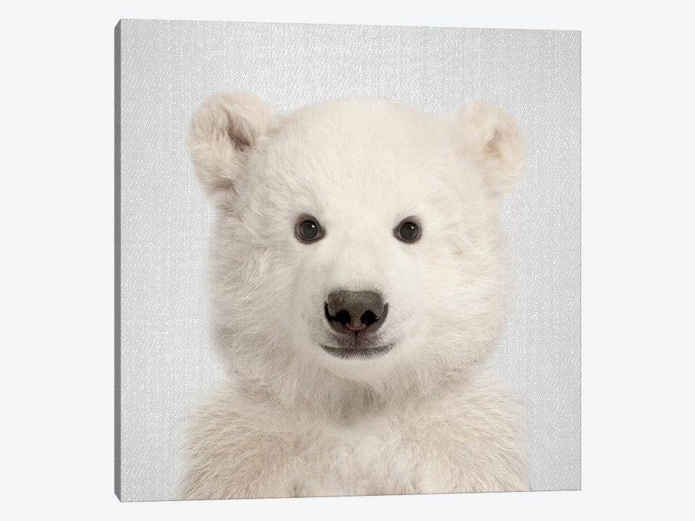 Polar Bear by Gal Design 1-piece Canvas Art Print