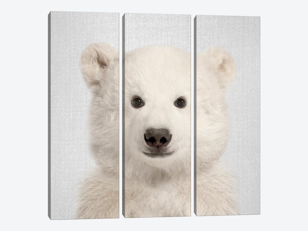 Polar Bear by Gal Design 3-piece Canvas Print