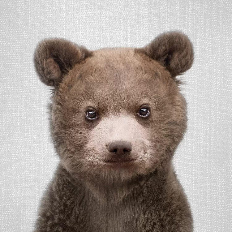 Baby Bear