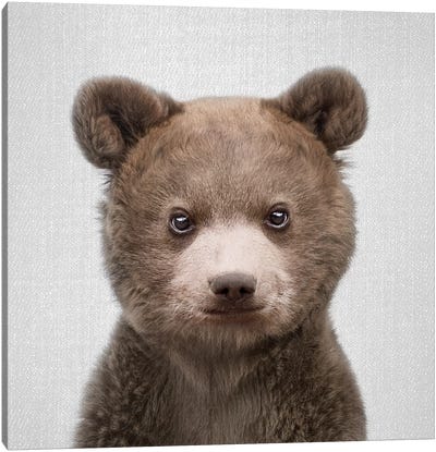 Baby Bear Canvas Art Print - Bear Art