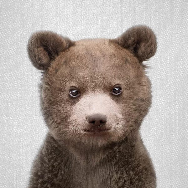 Baby Animals: Baby Bear by Gal Design