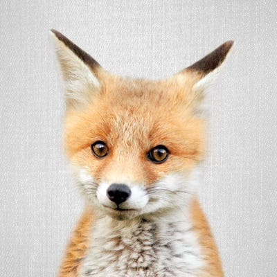 Baby Fox by Gal Design acrylic art print