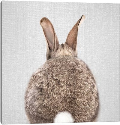 Rabbit Tail Canvas Art Print - Neutrals
