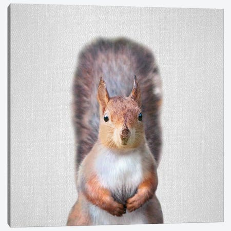 Squirrel Canvas Print #GAD55} by Gal Design Canvas Artwork