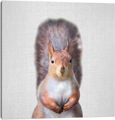 Squirrel Canvas Art Print - Gal Design