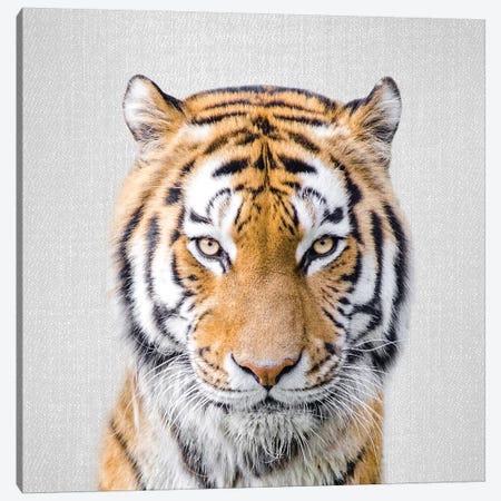 Tiger Canvas Print #GAD56} by Gal Design Canvas Wall Art