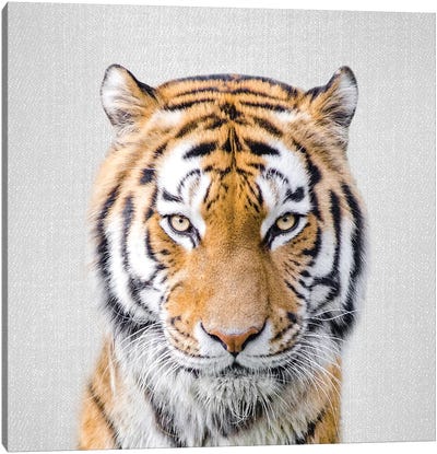 Tiger Canvas Art Print - Gal Design