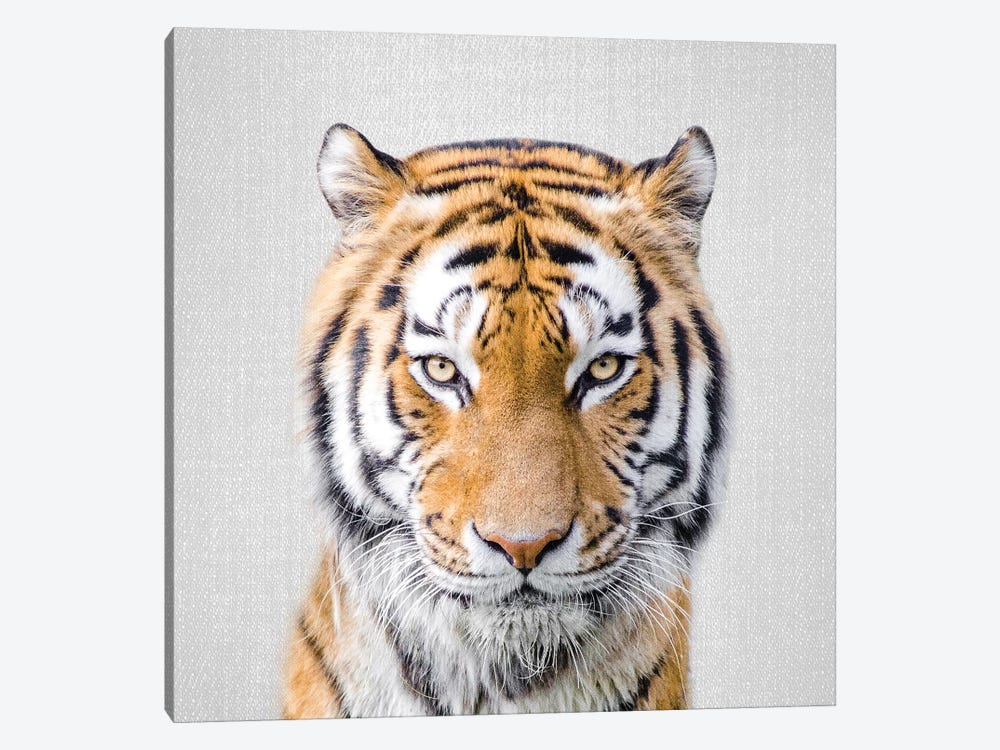 Tiger by Gal Design 1-piece Canvas Art Print