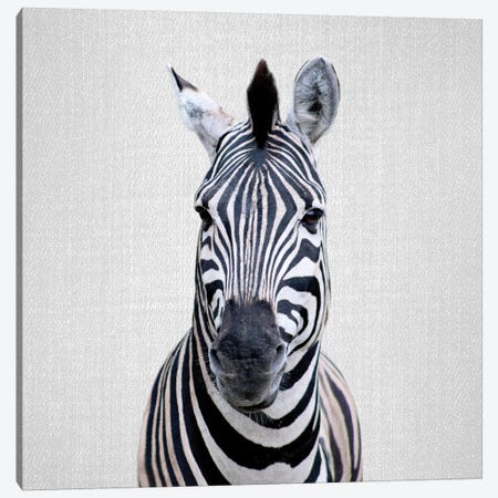 Zebra I Canvas Print #GAD57} by Gal Design Canvas Artwork