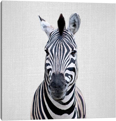 Zebra I Canvas Art Print - Gal Design