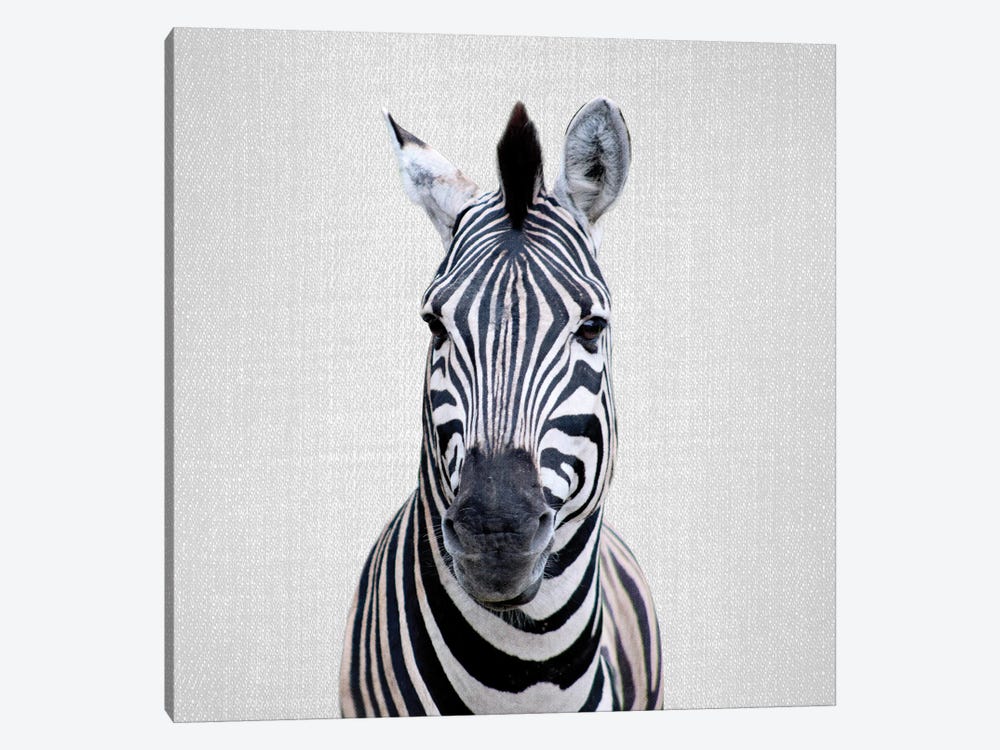 Zebra I by Gal Design 1-piece Canvas Art