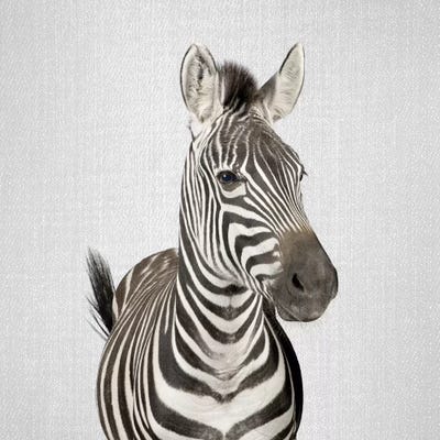 Zebra II by Gal Design art print