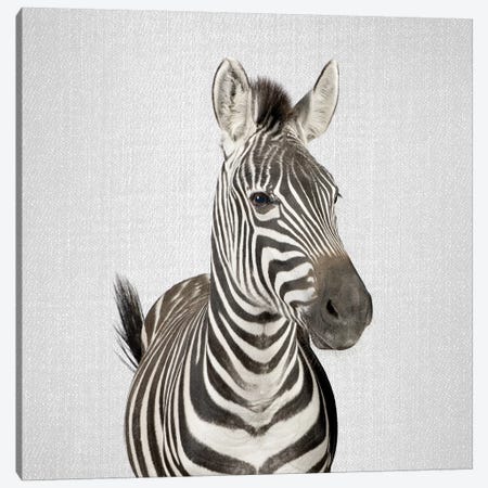 Zebra II Canvas Print #GAD58} by Gal Design Art Print