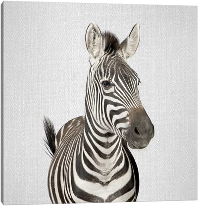 Zebra II Canvas Art Print - Gal Design