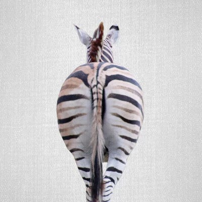 Zebra Tail by Gal Design canvas print