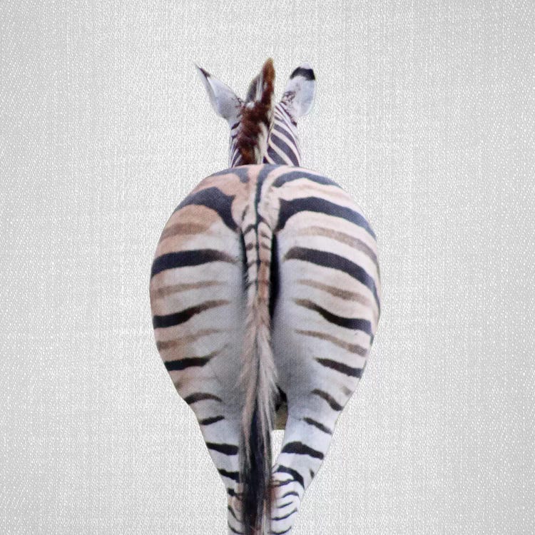 Zebra Tail