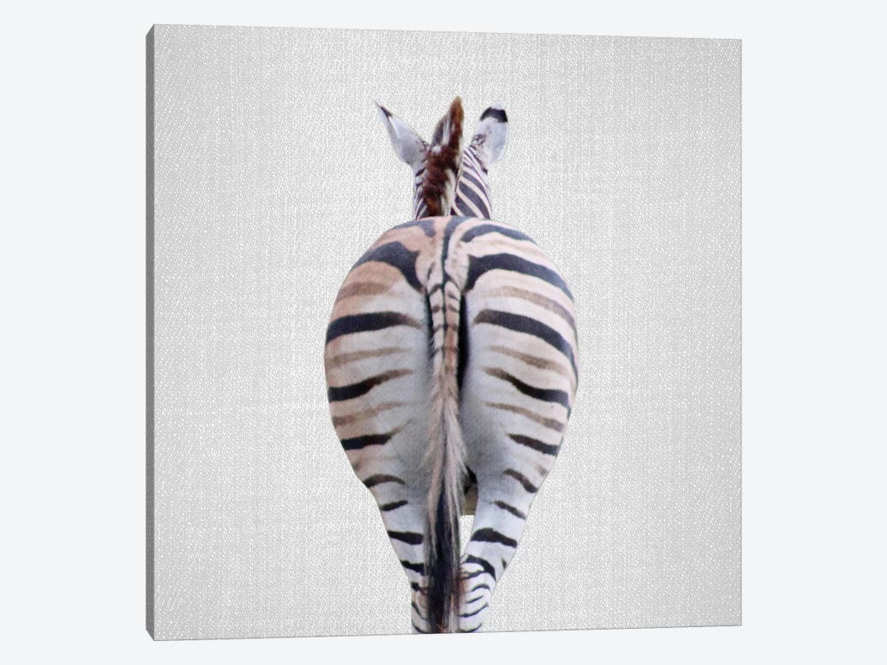 Zebra Tail by Gal Design 1-piece Canvas Wall Art