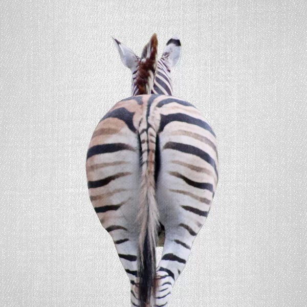 Zebras: Zebra Tail by Gal Design