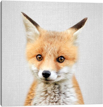 Baby Fox Canvas Art Print - Baby Animal Art