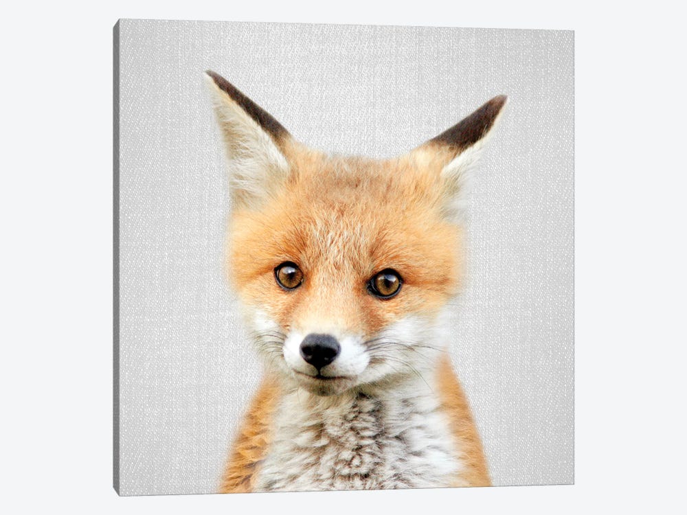 1pc Colorful Fox Canvas Art Poster Prints Picture Kids Room Wall Home Decor Gift 