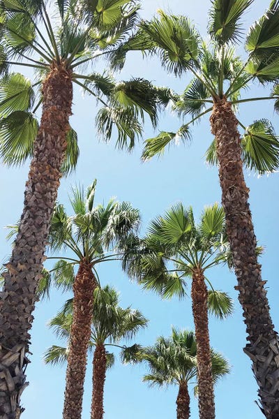 Venice Beach by Gal Design canvas print