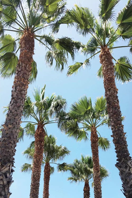 Venice Beach by Gal Design wall art