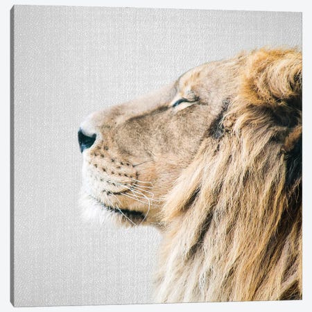 Lion Portrait Canvas Print #GAD68} by Gal Design Canvas Art