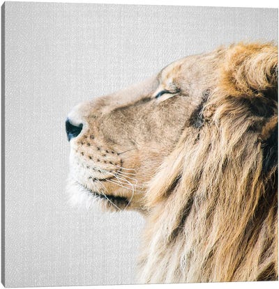 Lion Portrait Canvas Art Print - Gal Design
