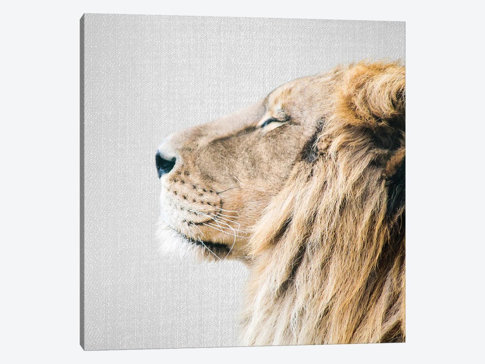 Lion Portrait by Gal Design 1-piece Canvas Wall Art