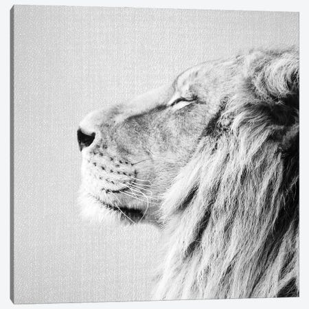 Lion Portrait In Black & White Canvas Print #GAD69} by Gal Design Canvas Artwork
