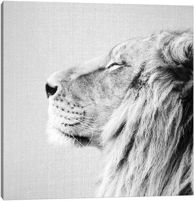 Lion Portrait In Black & White Canvas Art Print - Gal Design